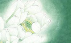 小孩子小孩子起名字大全免费