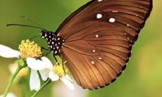 取名字的禁忌大全