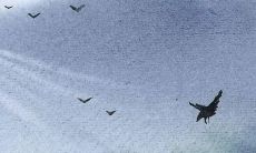 好听的虎牙名字