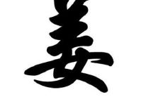 姜姓的男孩子取名大全