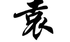 姓袁的男孩子取名大全