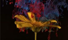 梦见垃圾桶有什么寓意 梦见垃圾桶好吗