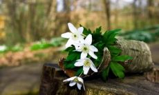 94年属什么生肖婚配 94年婚配最佳对象