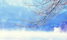 雅人深致的宝宝起名