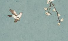 93属鸡女2022运势及婚姻