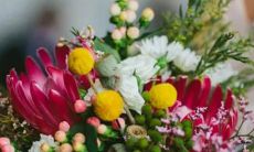 时尚星座 户口哪个区