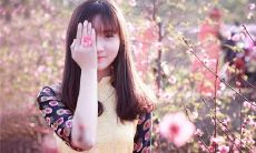 梦见去菜园摘菜