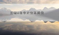 王者id名字大全高质量