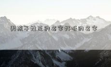 男孩子姓蓝的名字好听的名字