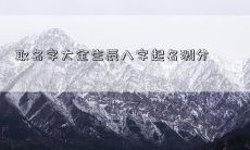 取名字大全生辰八字起名测分