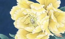 赵铭文女孩名字寓意