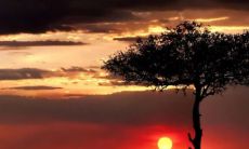 给人一种阳光的网名 优雅简单的网名女