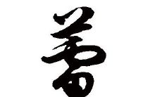 带蕾字女孩子名字大全