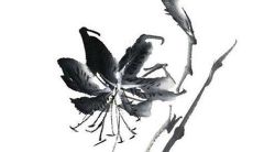 2022年属狗1994年创业 94年属狗人可以做什么生意