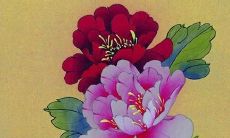 1982年属狗做什么生意最旺 今年财运如何