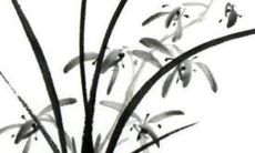 名字测试打分100分