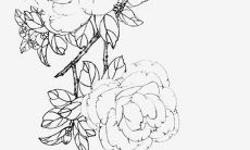 属虎人2022年全年运势佛滔