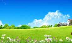 男金女火夫妻谁旺谁 男金女火的夫妻命运