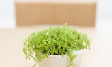 什么网名好听又有内涵的