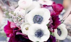 这些星座拥有超强的记忆力