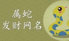 属蛇发财网名如何取优秀听吉利