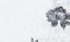 66年2022年运势完整版