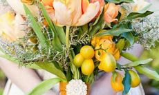 水瓶上升星座白羊