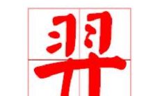 带羿字的女孩名字大全