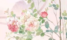 带宗的女孩名字