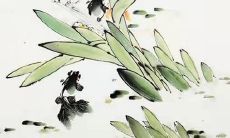 属虎几月份出生的最好最旺 几月出生属虎人好