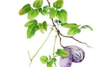 凝字在第三个字取女孩名字 女宝名字大全