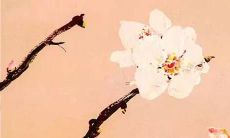 缺金木的女孩名字 金木女生名字大全