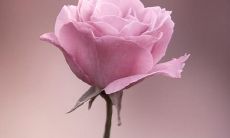 2017年时尚帅气的男生QQ网名大全