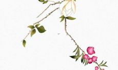 带湾字的女孩名字 根据五行取名字