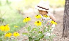 2019猪年农历正月初七出生的猪宝宝五行缺土起什么名字好