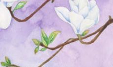 2022年宝宝免费起名评分