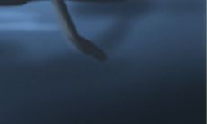 樊姓带木名字 有哪些名字推荐