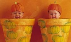 2022年出生的女孩小名