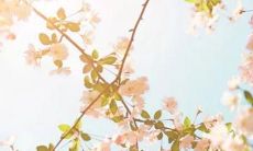 小朋友取名字三个字