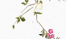 嘉字取名的寓意女孩 带嘉字文雅大气女生名