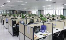 梦见蒜薹是什么意思