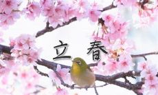 2020年立春出生的女孩新潮好听的乳名小名