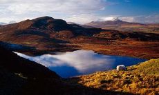 2020年农历腊月二十五出生男孩五行缺土取名常用字