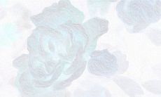 2019猪年农历正月二十五出生的女孩五行缺木起什么名字好