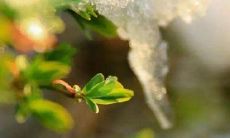 2020年2月4日立春出生的女孩缺金缺水取名温柔名字