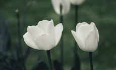 如何根据五行相生取名字