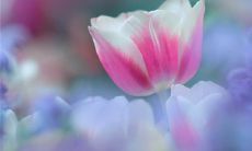 高冷个性的四个字的网名