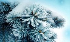 2020年小寒出生的宝宝好听的乳名推荐