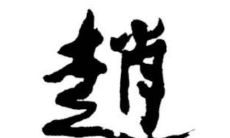 赵姓宝宝取名技巧大全