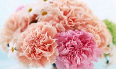 2020年母亲节出生的五行缺火女孩免费起名